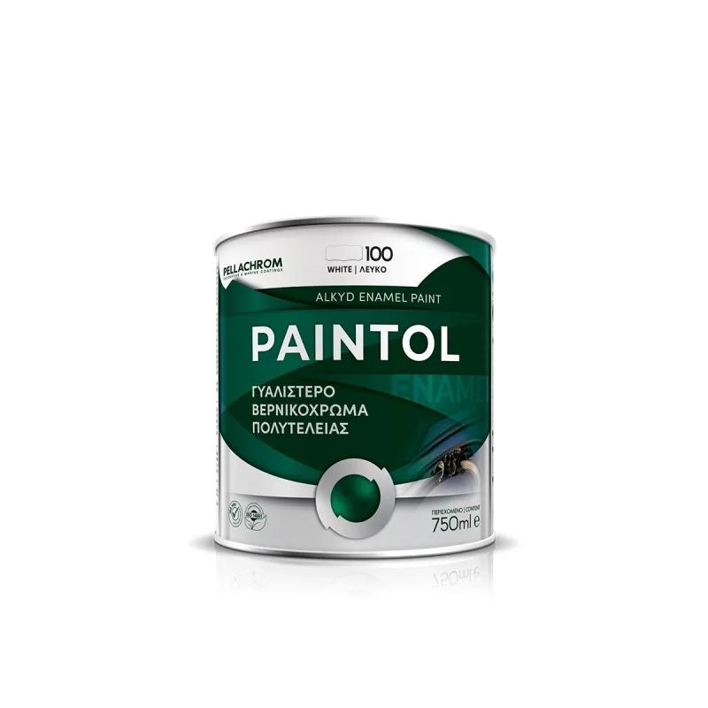 ΒΕΡΝΙΚΟΧΡΩΜΑ PAINTOL GLOSS PELLACHROM